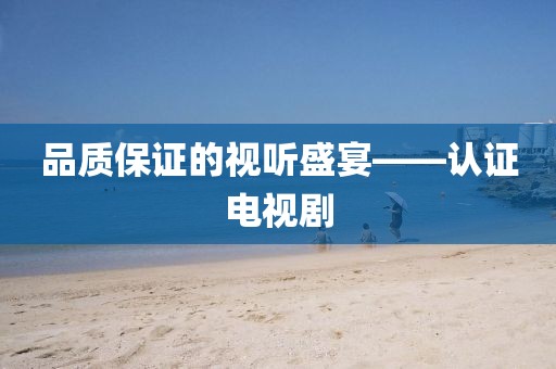品质保证的视听盛宴——认证电视剧