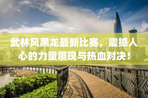 武林风黑龙最新比赛，震撼人心的力量展现与热血对决！