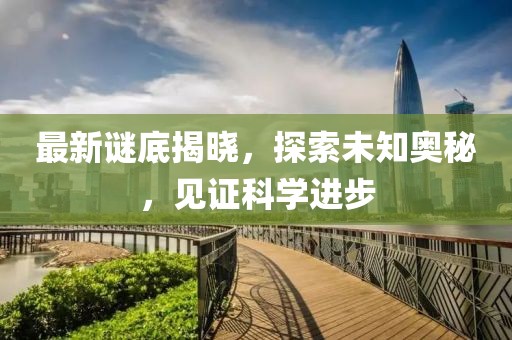 初告白 第19页
