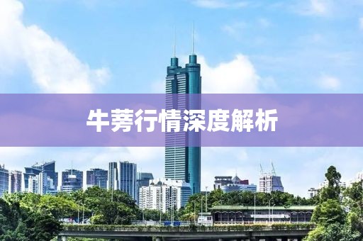 牛蒡行情深度解析
