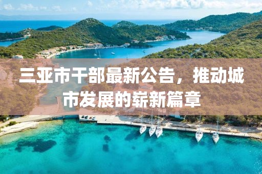 三亚市干部最新公告，推动城市发展的崭新篇章
