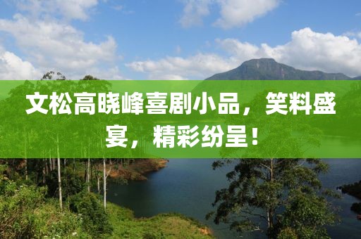 文松高晓峰喜剧小品，笑料盛宴，精彩纷呈！