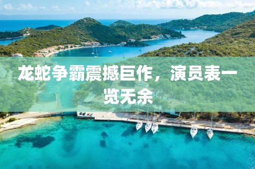 龙蛇争霸震撼巨作，演员表一览无余