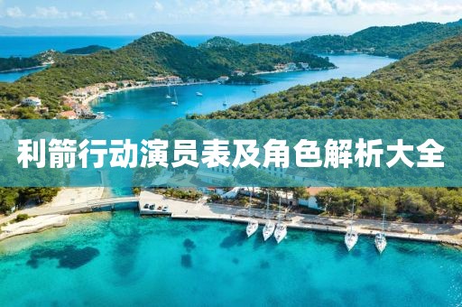 利箭行动演员表及角色解析大全
