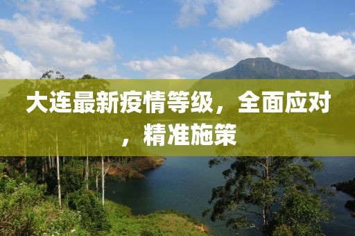 大连最新疫情等级，全面应对，精准施策