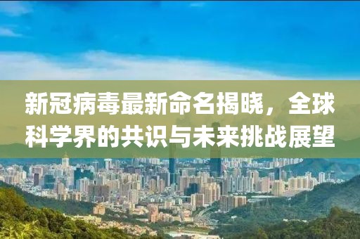 我很累 第17页