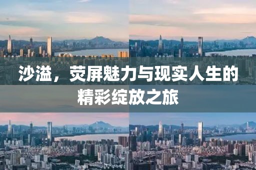 沙溢，荧屏魅力与现实人生的精彩绽放之旅