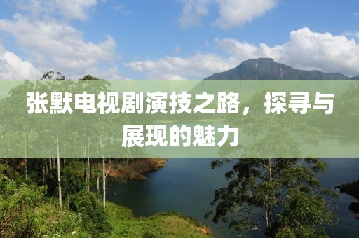 张默电视剧演技之路，探寻与展现的魅力