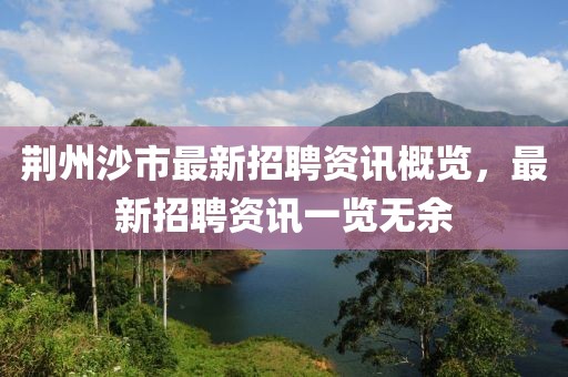 荆州沙市最新招聘资讯概览，最新招聘资讯一览无余