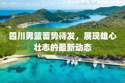 四川男篮蓄势待发，展现雄心壮志的最新动态