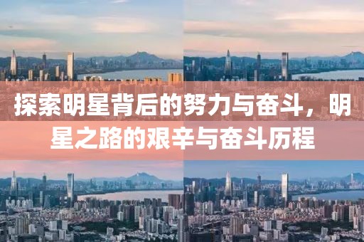 探索明星背后的努力与奋斗，明星之路的艰辛与奋斗历程