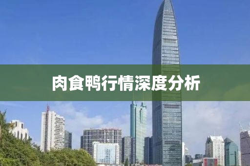 肉食鸭行情深度分析