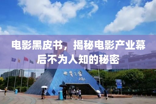 电影黑皮书，揭秘电影产业幕后不为人知的秘密
