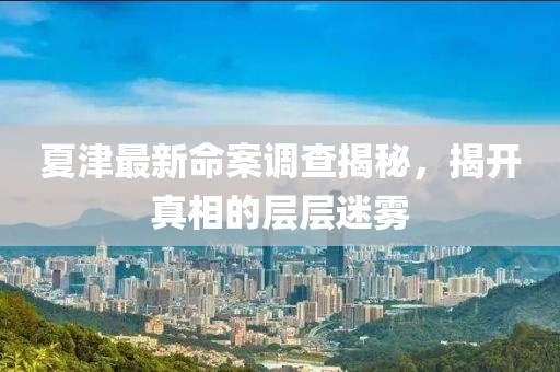 夏津最新命案调查揭秘，揭开真相的层层迷雾