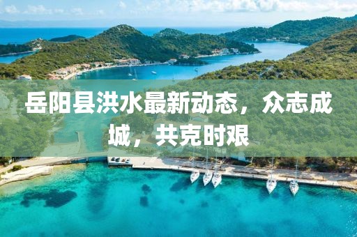 岳阳县洪水最新动态，众志成城，共克时艰