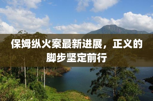 保姆纵火案最新进展，正义的脚步坚定前行