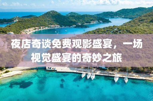 夜店奇谈免费观影盛宴，一场视觉盛宴的奇妙之旅