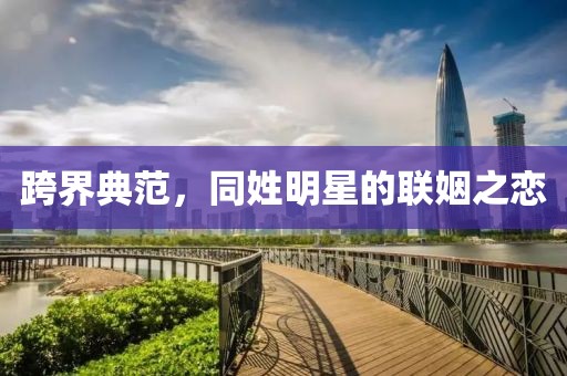跨界典范，同姓明星的联姻之恋