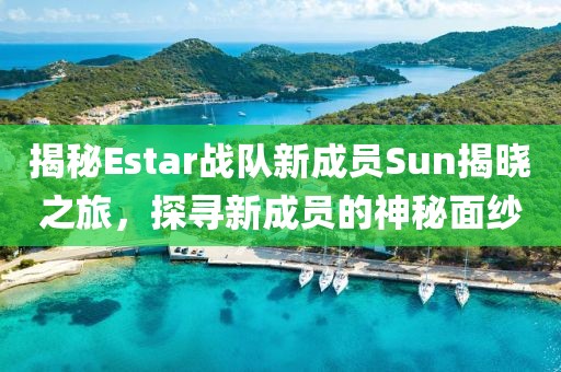 揭秘Estar战队新成员Sun揭晓之旅，探寻新成员的神秘面纱