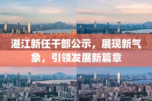 湛江新任干部公示，展现新气象，引领发展新篇章