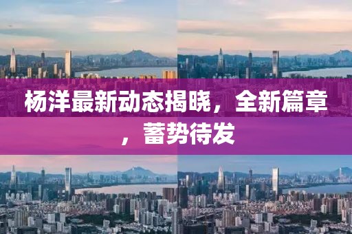 杨洋最新动态揭晓，全新篇章，蓄势待发