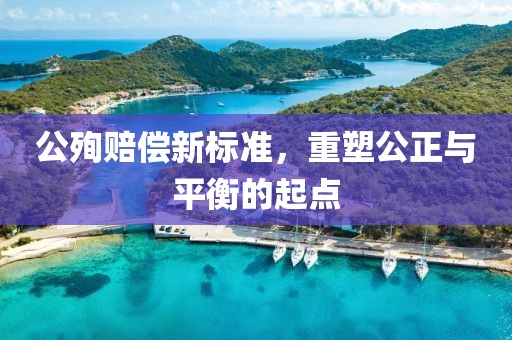 公殉赔偿新标准，重塑公正与平衡的起点