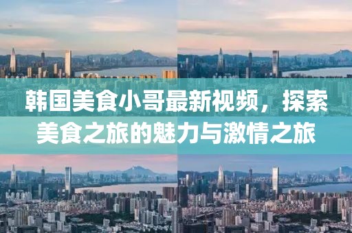 韩国美食小哥最新视频，探索美食之旅的魅力与激情之旅