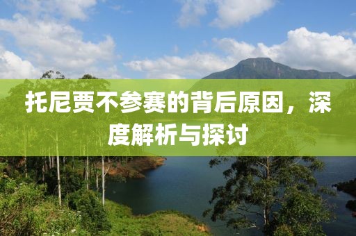 托尼贾不参赛的背后原因，深度解析与探讨
