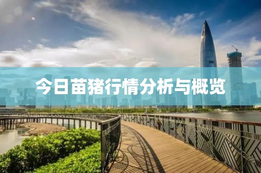 今日苗猪行情分析与概览