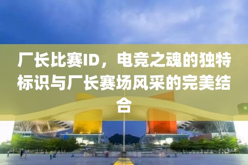 厂长比赛ID，电竞之魂的独特标识与厂长赛场风采的完美结合