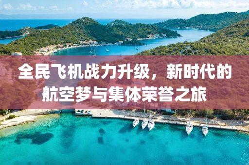 全民飞机战力升级，新时代的航空梦与集体荣誉之旅
