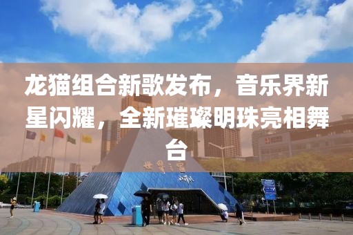 龙猫组合新歌发布，音乐界新星闪耀，全新璀璨明珠亮相舞台