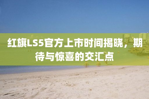 红旗LS5官方上市时间揭晓，期待与惊喜的交汇点