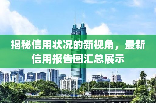 揭秘信用状况的新视角，最新信用报告图汇总展示