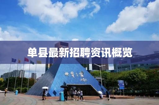 单县最新招聘资讯概览