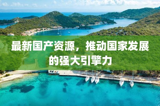 最新国产资源，推动国家发展的强大引擎力