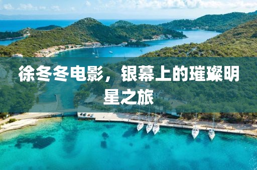 徐冬冬电影，银幕上的璀璨明星之旅