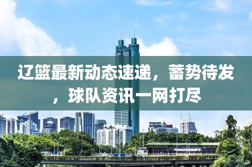 辽篮最新动态速递，蓄势待发，球队资讯一网打尽
