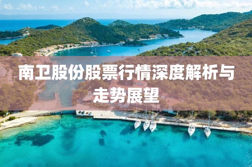 南卫股份股票行情深度解析与走势展望