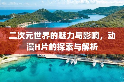 二次元世界的魅力与影响，动漫H片的探索与解析