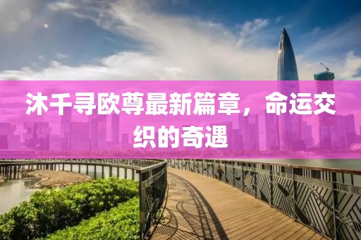 沐千寻欧尊最新篇章，命运交织的奇遇