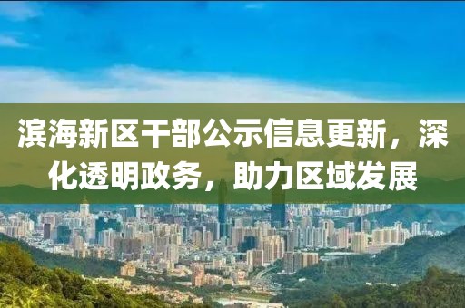 滨海新区干部公示信息更新，深化透明政务，助力区域发展