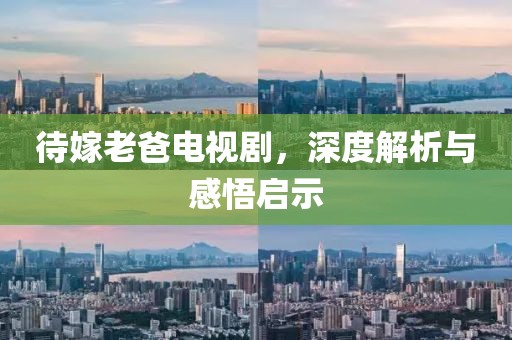 待嫁老爸电视剧，深度解析与感悟启示