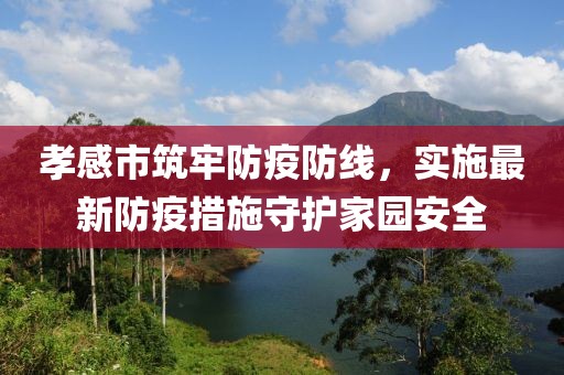 孝感市筑牢防疫防线，实施最新防疫措施守护家园安全