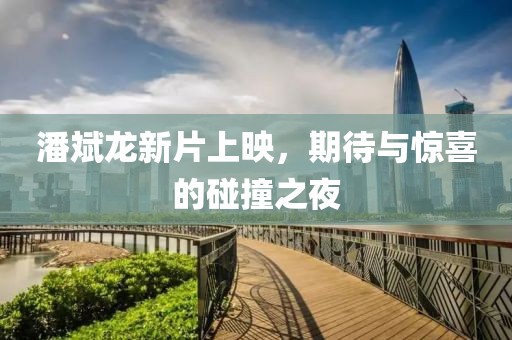 潘斌龙新片上映，期待与惊喜的碰撞之夜