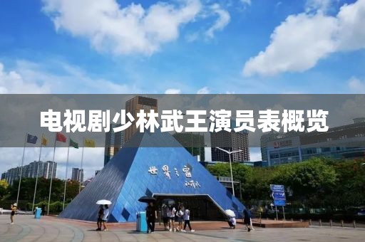 电视剧少林武王演员表概览
