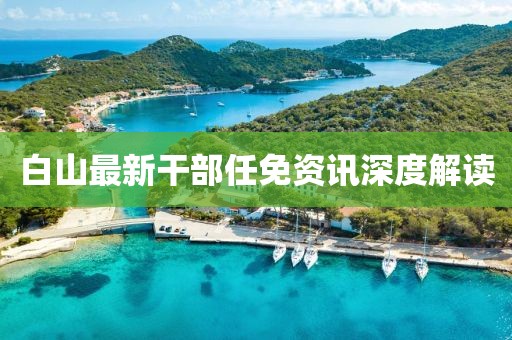 白山最新干部任免资讯深度解读