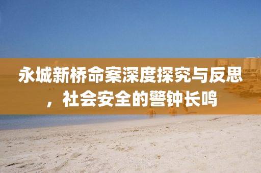 永城新桥命案深度探究与反思，社会安全的警钟长鸣