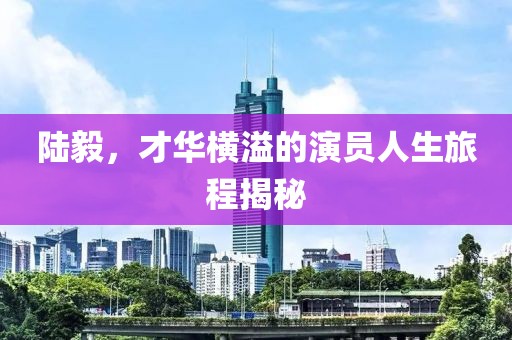 陆毅，才华横溢的演员人生旅程揭秘