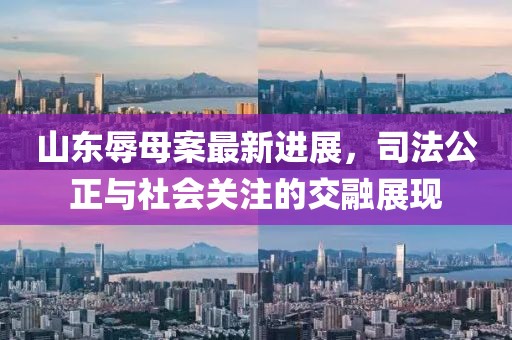 山东辱母案最新进展，司法公正与社会关注的交融展现
